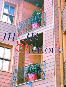 015 FERFORJE BALKON KORKULUK