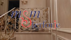 014 FERFORJE MERDİVEN KORKULUĞU